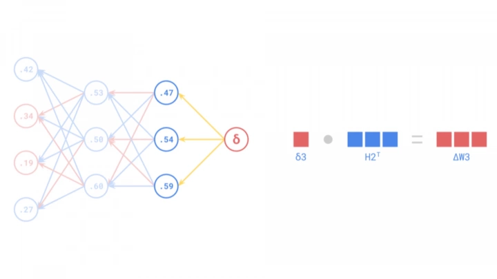 Backpropagation (Visszaterjesztés) kialakulása